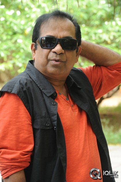 Brahmanandam-About-Alludu-Seenu-Movie